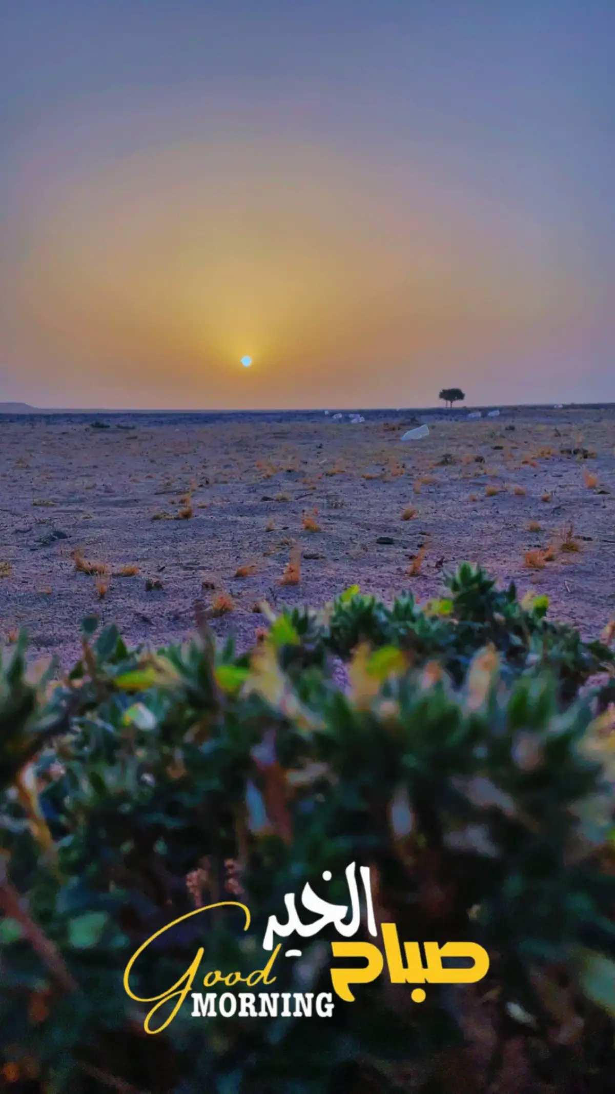 #صباح_الخير #يسعدلي__اوقاتڪۘم #صباحكم_أحلى_صباح #البر #عاجل_الان🔴🔴 #شروق_الشمس #الطبيعه_اجمل_شي_للراحه_النفسيه #الان #تصويري📷 #بدوي #شغلي_وافتخر #🎼🎵🎶 #ياصباح_الخير_والسعاده_🌹💗🌹 #هدوء🥀 #نسيم_الصباح #ذوقي #fyp #اكسبلورر 