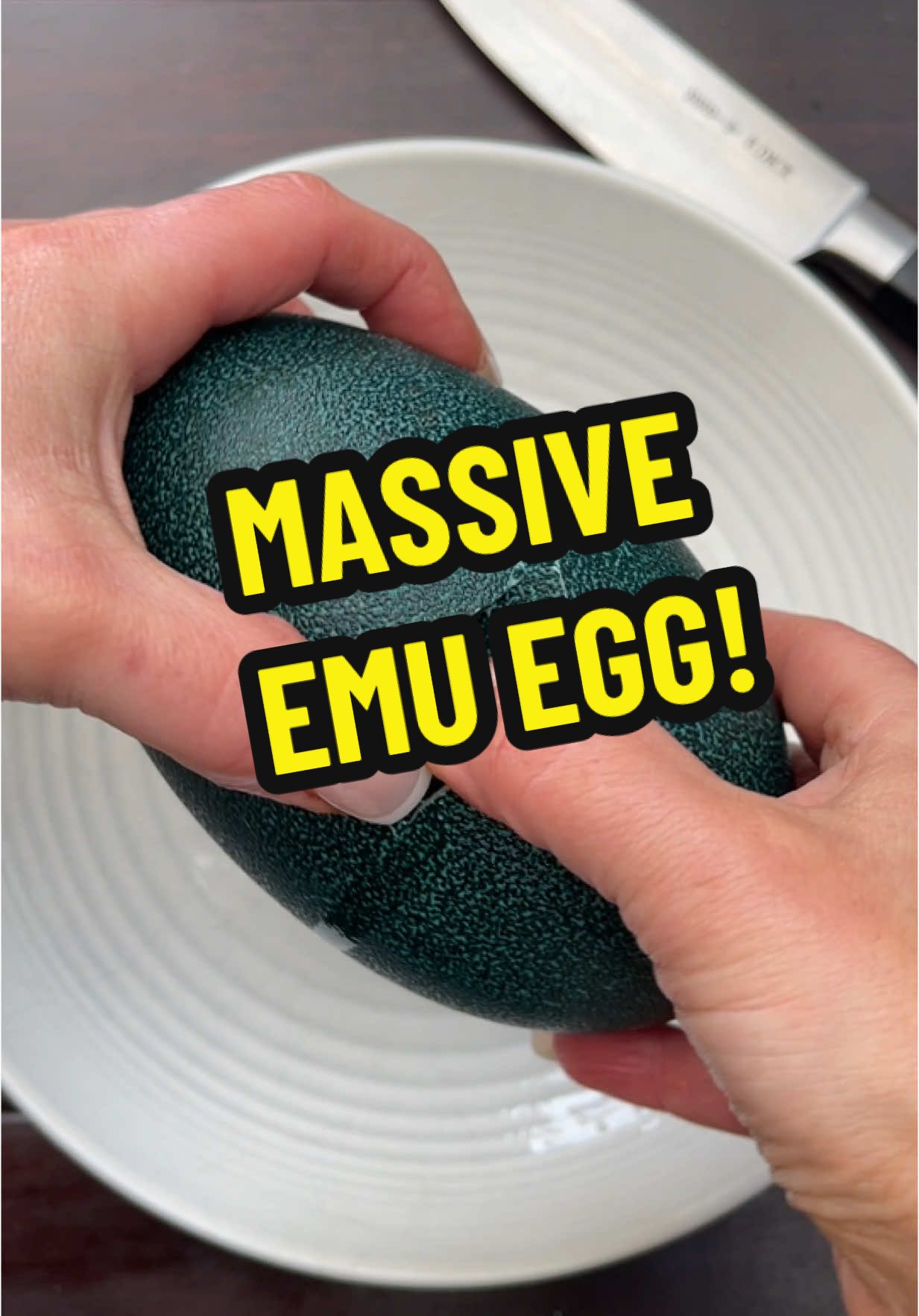 Weekends just got legendary! Cracked open a MASSIVE emu egg — that’s the same as 15 chicken eggs packed into ONE! 🍳Talk about an epic breakfast win. Who’s brave enough to try it?   #egg #eggs 
