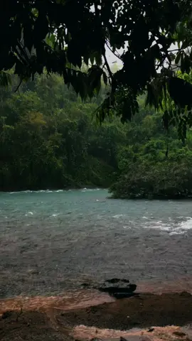#nature #rain 