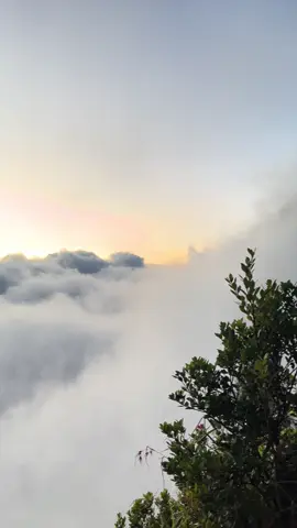 Full lautan awan di gunung wilis via kare #gunungwilis #wilisviakare #lautanawan #mountnesia #gunungwilisviamadiun @desawisata kare @Basecamp Kare EcoAdventure 