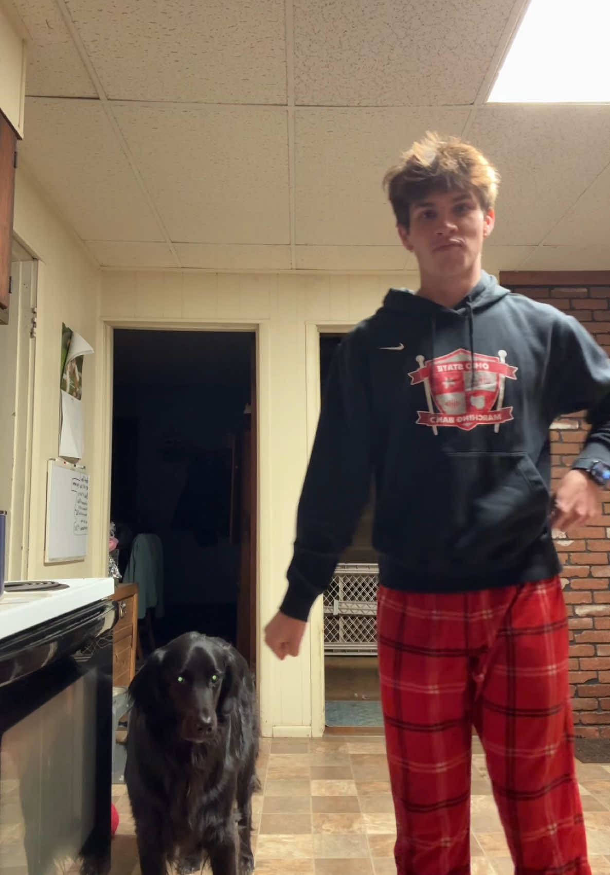 shadow does not have 🩲 on #fyp #trending #mlm #dancetrend #2000s #dogsoftiktok #mlmtiktok #dogs 