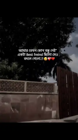 আমার তেমন কোন বন্ধু নেই