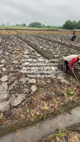 guyon enek wayahe🫣#fyp 