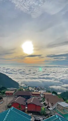 ⛰️บรรยากาศตอนเช้าช่วงนี้ค่ะ🍃 22/05/2568 #ภูซากุระภูทับเบิก #ภูทับเบิกหน้าฝน 