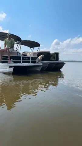 #fyp #lakedays #boat #lakelife #funnyvideos 