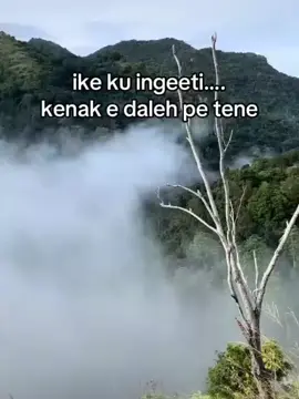 #kata kata gayo