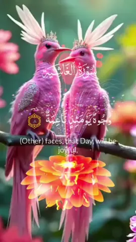 #CapCut #القرآن # #viralvideo #foryou #mianateeq #