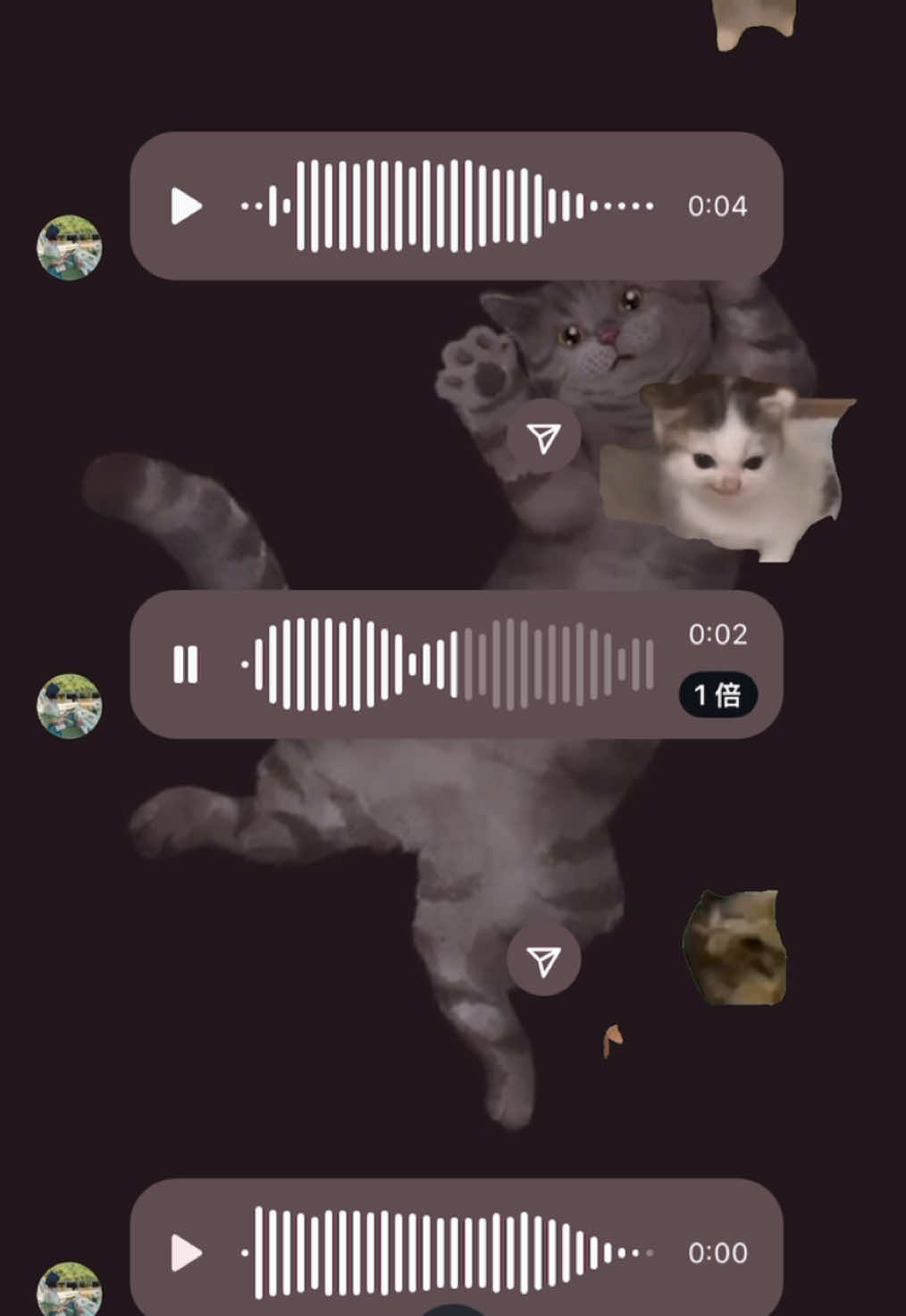 對她來說 這也算是一種才藝了 #貓meme #貓 #情侶日常