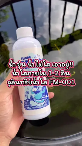 น้ำขุ่น น้ำไม่ใส เอาอยู่!! น้ำใสภายใน 1-2 คืน จุลินทรีย์น้ำใส FM-001 #จุลินทรีย์น้ำใส #จุลินทรีย์felnor #จุลินทรีย์ปรับสภาพน้ํา #จุลินทรีย์ปรับสภาพน้ําใส #จุลินทรีย์ปลาสวยงาม #น้ําใส #อ่างบัวเลี้ยงปลา #ตู้ปลา #อ่างปลา #ปลาสวยงาม #ปลาบอลลูน #ปลาหางนกยูง #เลี้ยงปลาสวยงาม 