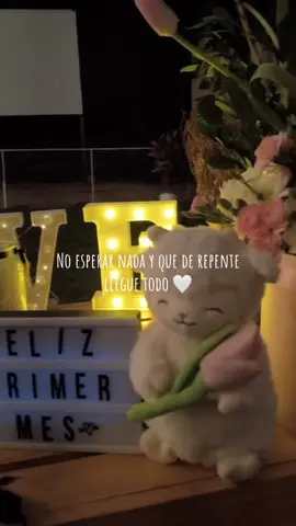 I Love it ♥️.                                 #Love #viralvideos #fyp #fffffffffffyyyyyyyyyyypppppppppppp #parejas_enamoradas #amor #viral #paratiii #tulipanes 