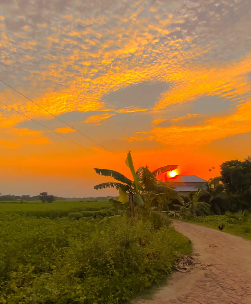 কাউকে ধোঁকা দিও না!😇😅#foryou #foryoupage #viral #videography #team_of_31 #shakil031 
