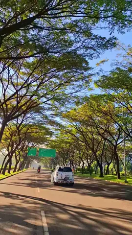 Tempat jogging dengan view cantik di tangerang✨️🍃😍🥰 #jogging #suvarnasutera #viralvideo #kabtangerang #joggingoutfit #talaga #cikupa #tangeranghits #cikupatangerang #cikupamastangerang #fyp #viraltiktok #pasirgadungcikupa 