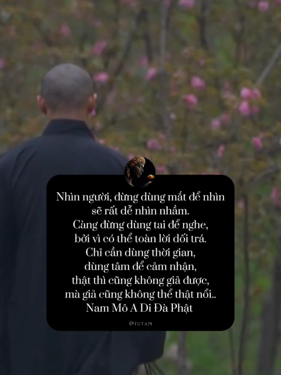 bình yên#phatphapnhiemmau 