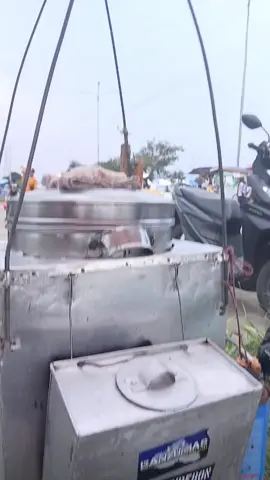 ambil buat prank lagi #stadiongbla #fyp #persbday💙🐯 