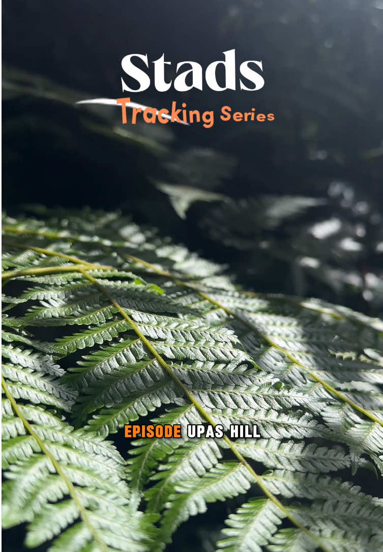 STADS Tracking Series with @ghibass kali ini explore Upas Hill! #STADS #AllPurposeWear #outdoorfit #fashiontiktok #styleinspo #urbanoutdoor  #ootdinspo #upashill #lembang #explorebandung