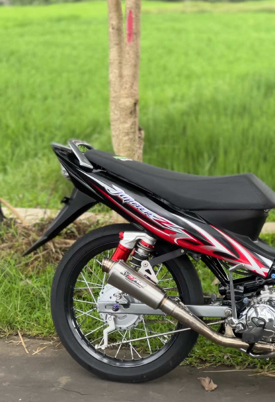 Tambah ganteng to cah😜 Soal e gowo iki lo 🤙@MR.PRORACING  #jupiterlsr #5tpmenolakpunah #5tpgank🚀 #adeelsr #5tpbumiintanpari 