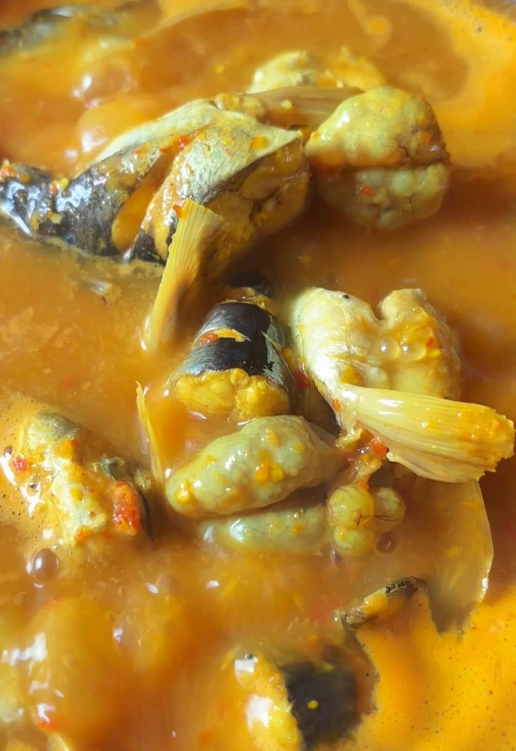 แกงส้มปลาหัวโม้ง🐠 #แกงส้มปลาหัวโม้ง #แกงส้มใต้ #แกงใต้บ้านบ้าน #แกงใต้ #อาหารใต้หรอยๆ #สงขลาบ้านเรา 