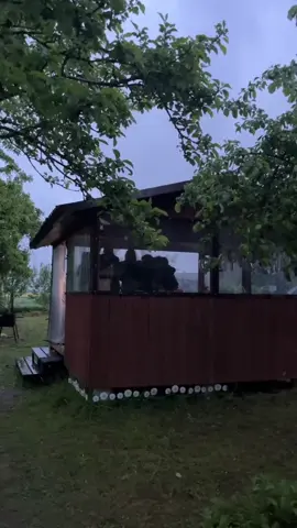 #рек 