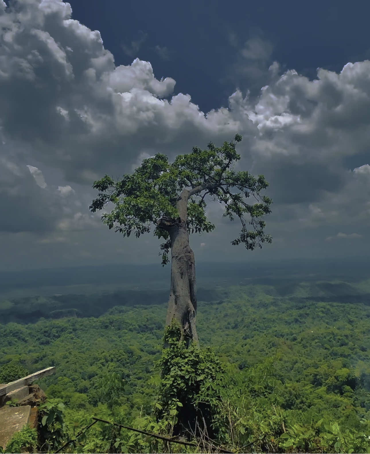 সবাই ভুলে যাবে 🥲 . #creatorsearchinsights  #trending #islamic_video #foryoupage #islamicreminders #ইসলামিক_ভিডিও_🤲🕋🤲 #naturevideos #naturelover #viral 