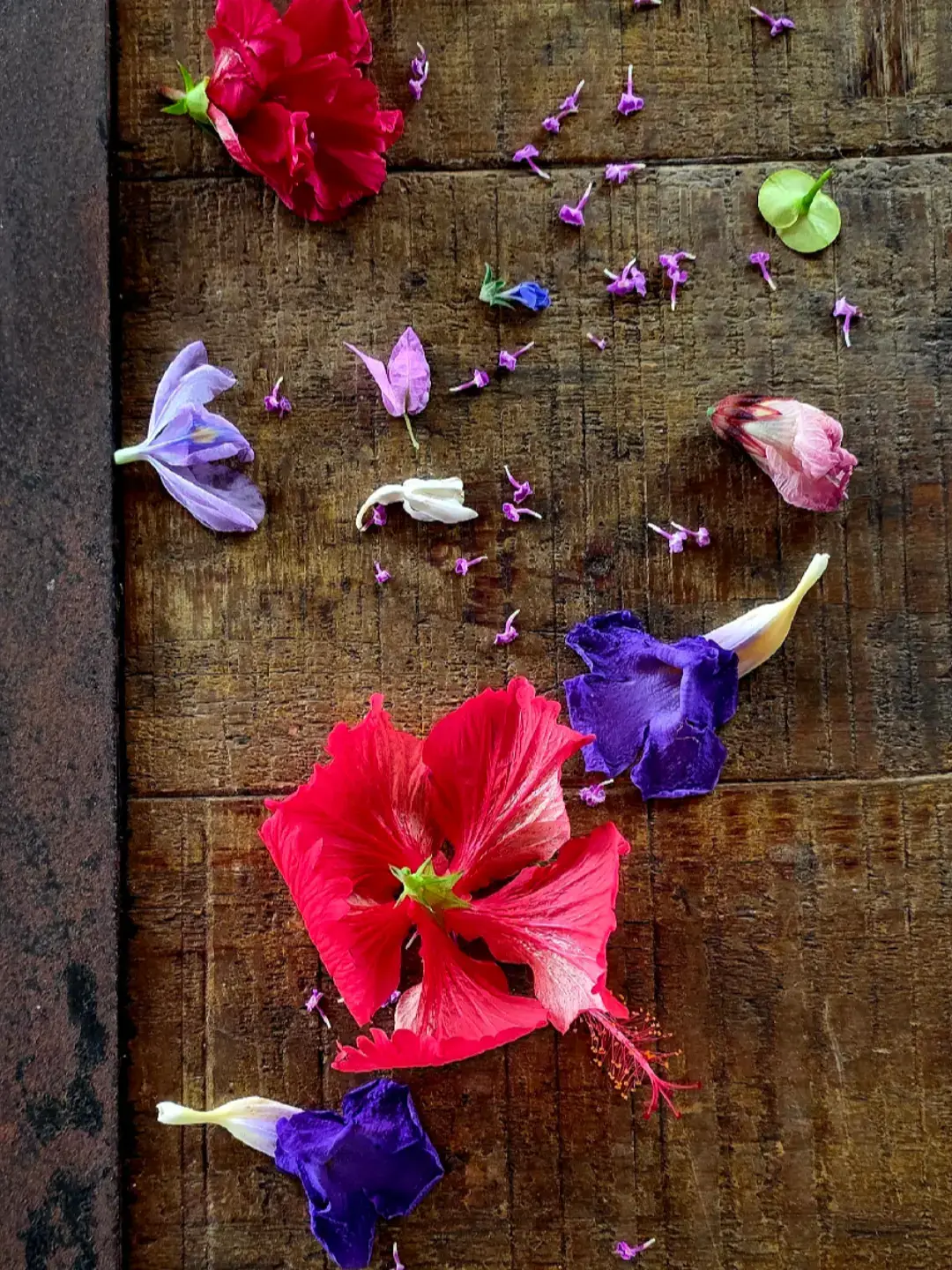 J'essayais de prendre une photo des fleurs que la petite Madeleine a mis sur la table puis Frédéric est venu gâcher ma photo.  Avec ses grosses mains là 🙄😑