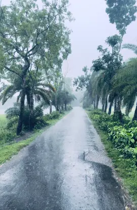 বৃষ্টি হয়ে নামছো না কেন ?🥹 #foryoupage #rainyday #rain #tiktokbangladesh #trendingvideo #villagelife #unfrezzmyaccount #viraleveryvideoonyouraccount #fyppoppppppppppppppppppppppppppp #tiktokviral #copylinkplease💗 #foryoupageofficiall #nahidhasan1123 #nahidhasan1123 