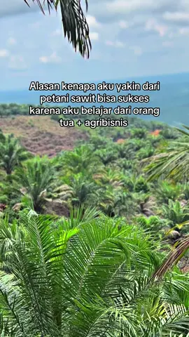 📸🌴#petanisawit🌴 #bossmuda #sawitontiktok #sawitsumatra #fyp #petaniindonesia🇮🇩🇮🇩🇮🇩🌿🌿 #kulisawitindonesia #fyp #xybca #fyppppppppppppppppppppppp 