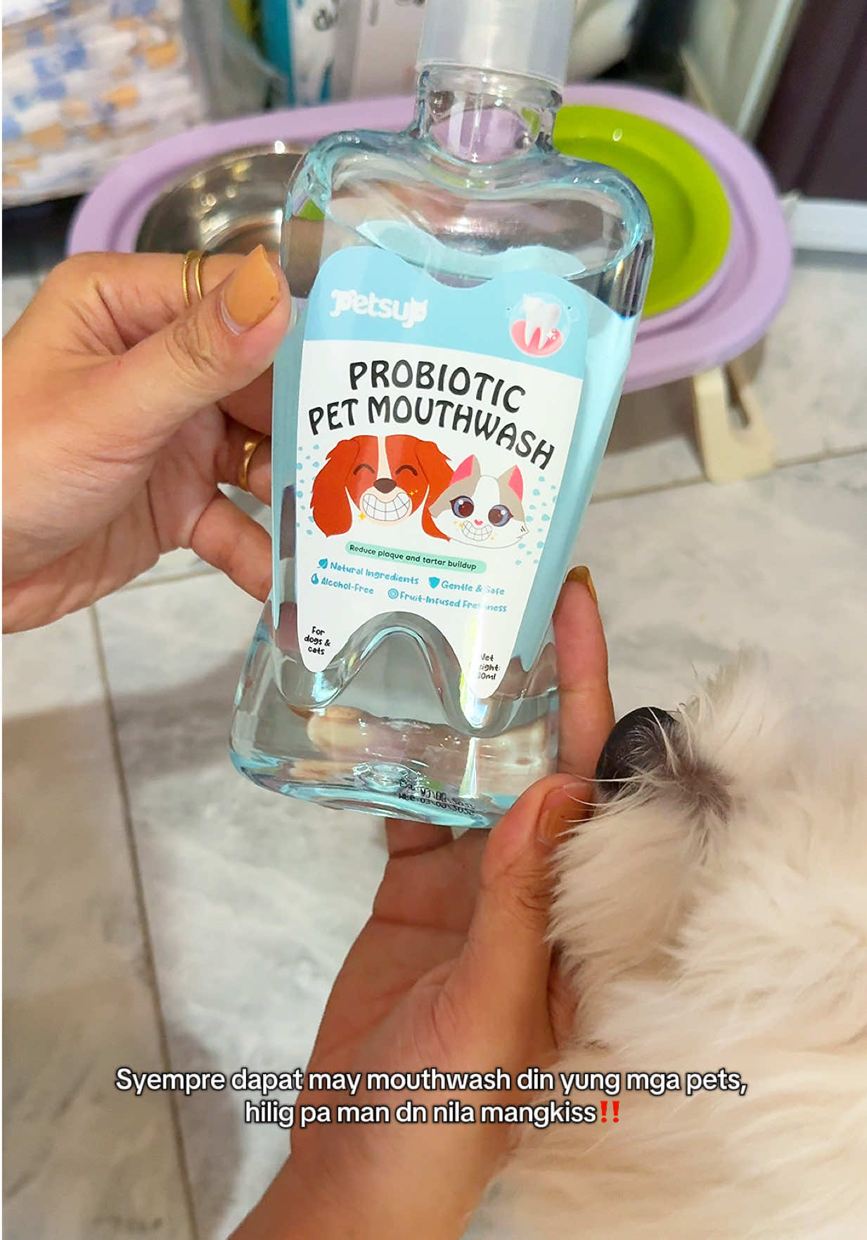 Ok na kahit hndi magbrush palagi #petmouthwash #dogmouthwash #mouthwash #petprobiotics #shyyassy 