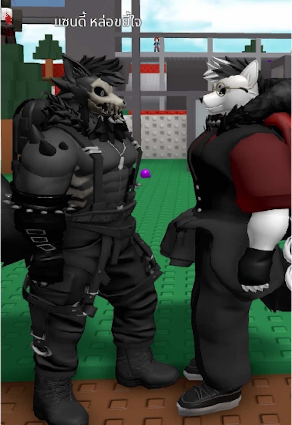 เบื่อแล้วใส่แว่น อยากใส่หน้าวะ🤣 @Zander 🔥 #roblox #robloxthailand #furry #furryroblox #mrball48 