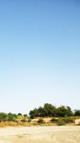 🙏Faisal 😎shah  Nawab 😎shah 😎😎 😎😎😎😎😎😎😎😎