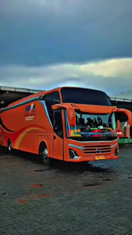 Buss Paket📦#indahlogistikcargo #indahexpress #indahlogistikinternasional #indahgroup 