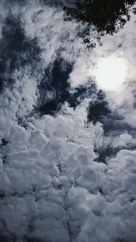 নিজের ফোনে করা ভিডিও,, আকাশের ভিউ টা জাস্ট ওয়াও 🥰