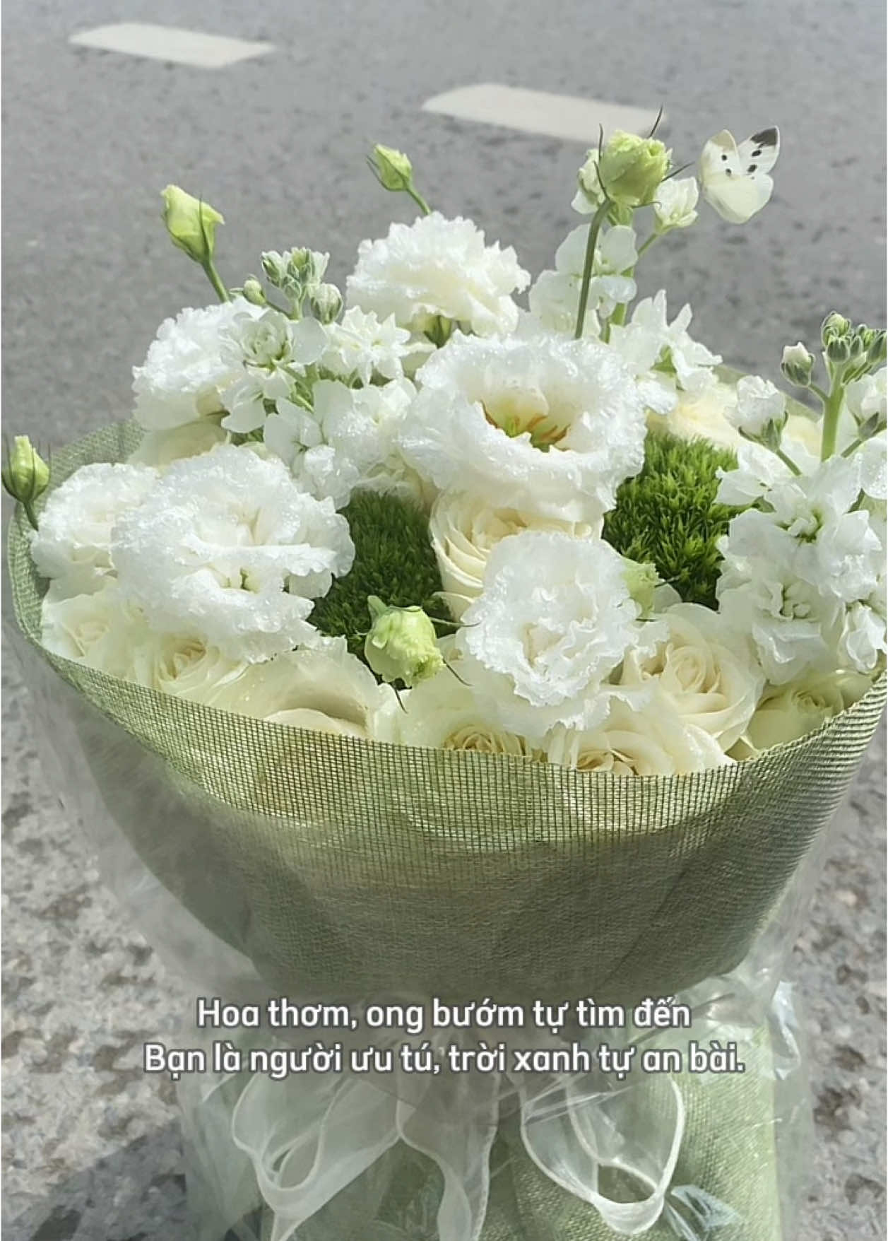 Nhìn thơ thơ vậy thôi chứ tui chụp ảnh mẻ bướm mẻ theo đến khi tàn cuộc, đưa hoa vào tiệm cất mẻ vẫn theo 😆 #tiemchuchu #chuchuflower #hoatpvinh #bohoadep #bohoatangnguoiyeu #quatang1_6