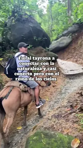El caballo se fue a rienda suelta y solo pensaba … voy a morir 😩🙄 #tayrona #caballo #tayronapark #cabosanjuantayrona #cabosanjuan 