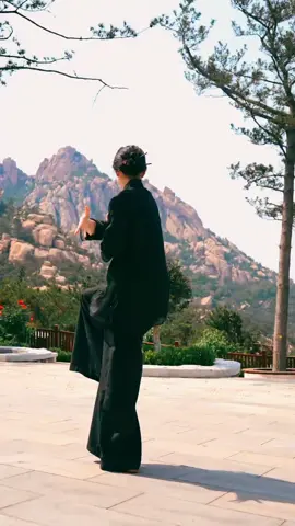 #kungfu #wushu #taichi #lee25dragon #chinesekungfu #tiktoklongs #foryoupage #master #viralvideo #foryoupage #fyp 