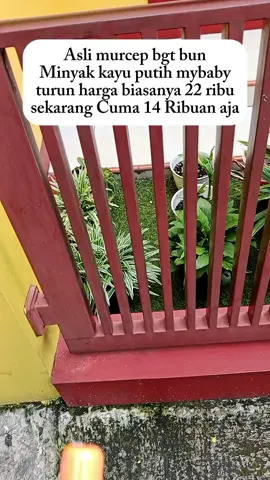 promo minyak kayuputihmybaby#minyakkayuputih #kayuputih #mybaby #minyaktelon #mybaby😍 #pyf 