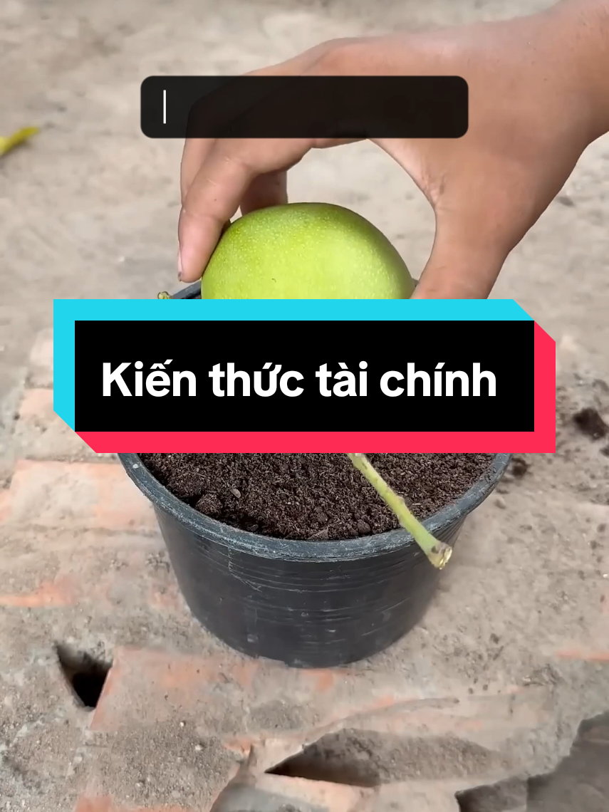 Nhập môn kiến thức tài chính cho những bạn mới bắt đầu tìm hiểu về quản lý và đầu tư tài chính #tienderatien #taichinhcanhan #sachhay #baihoccuocsong 