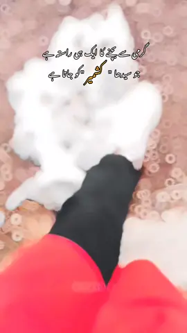 Bagh Azad Kashmir 🩷🫀  #baghazadkashmir #trending #kashmiri #unfreezmyaccount #rida9078 