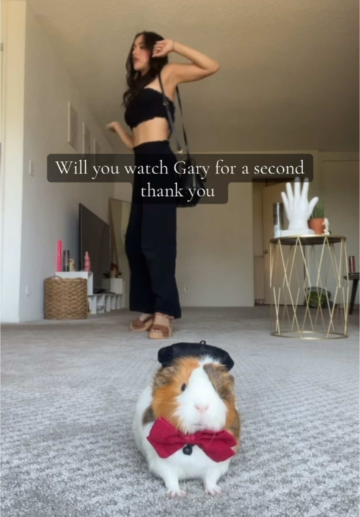 Thank you #fyp #PetsOfTikTok #guineapigs #guineatok #memestiktok 