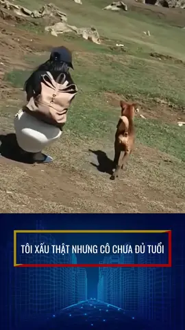 Chó said： Mày tuổi con ngan con🤣🤣🤣#fyb #thưgiãn #funny 