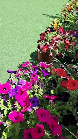 #ryoupage❤️❤️❤️foryou 