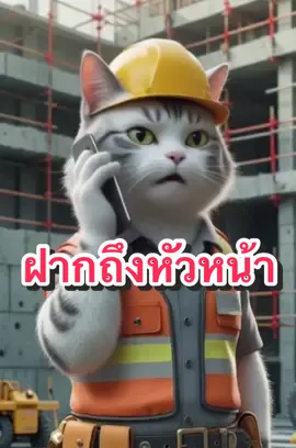 สูนให้หัวหน้า… #พ่อใหญ่แหลมสูนให้หัวหน้า #CatClips #CatStory #3dnimation #3dnimation 