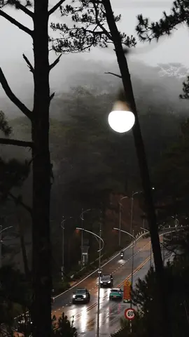 Mình quay video mọi người lưu về edit nhe ☺️ #ptl #photobikerdalat #deoprenn #dalat #ongganhdalatchill #tramruaxeaetouring24h 