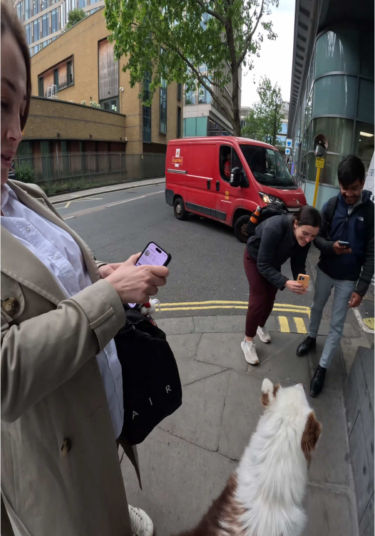 Interactions with my dog!! #husky #famous #london #pets #fyp #foryou #viral #doglover #violasnow 