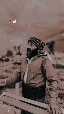SAVAŞMA'YA DEYMEDİN.. SEN 