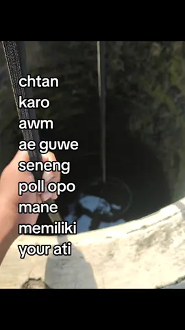 ws seneng og🤧#foryou #katakata #masukberandafypシ 