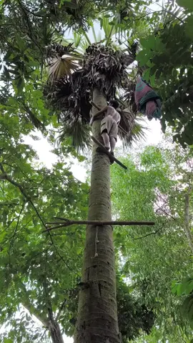 @{ ® জাতির  ভদ্র  নাতি ®}❤️‍🩹 @user6635033560040 