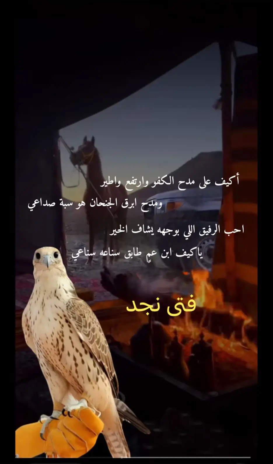 #الكفو_يستاهل_المدح _والتقدير_💜💜💜