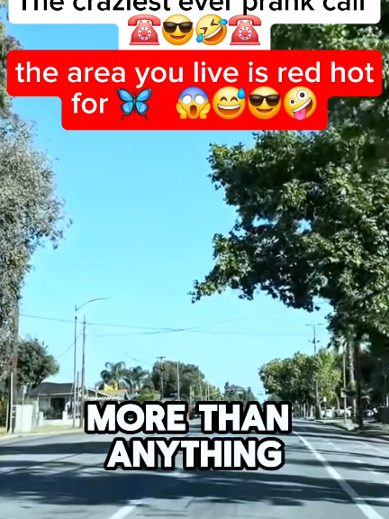 the area you live in is red hot for caterpillars🦋🤪😎😱  Credits:@The Jubal Show  #brookeandjubal #funny #phonecall #fyp #funnyy #prank #prankcall #radiocall 