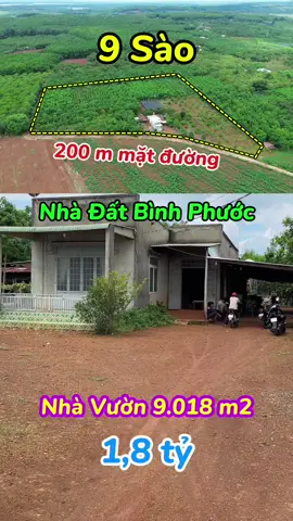 Bán Nhà Vườn 9.018 m2 đất CLN bám 200 m mặt đường #nhàđấtbìnhphước #đấtbìnhphước #đấtvườnbìnhphước #nhàvườnbìnhphước #xuhuong 