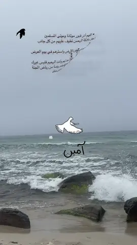 #CapCut #سبحان_الله_وبحمده_سبحان_الله_العظيمم #oops_alhamdulelah #يارب_فوضت_امري_اليك #واذا_سئلك_عبادي_عني_فأني_قريب 